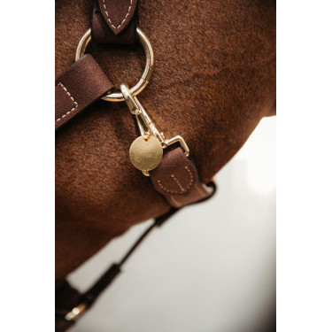 Medaglia Kentucky Oro