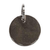 Medaglia Kentucky Argento
