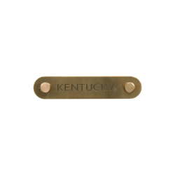 Targhetta per cavezza oro Kentucky Targhetta per cavezza oro Kentucky