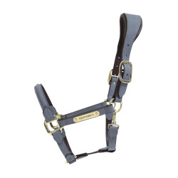 Cavezza Anatomica in Scamosciato Kentucky Grigio