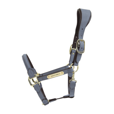 Cavezza Anatomica in Scamosciato Kentucky Grigio