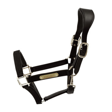 Capestro Anatomico in Nylon Kentucky Nero