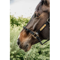 Capezza da controllo Kentucky Nero