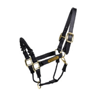 Capezza da controllo Kentucky Nero