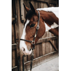 Capezzina da grooming in cuoio Kentucky Capezzina da grooming in cuoio Kentucky