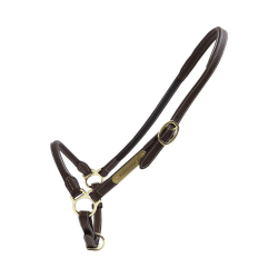 Capezzina da grooming in cuoio Kentucky Capezzina da grooming in cuoio Kentucky