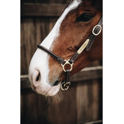Capezzina da grooming in cuoio Kentucky Capezzina da grooming in cuoio Kentucky