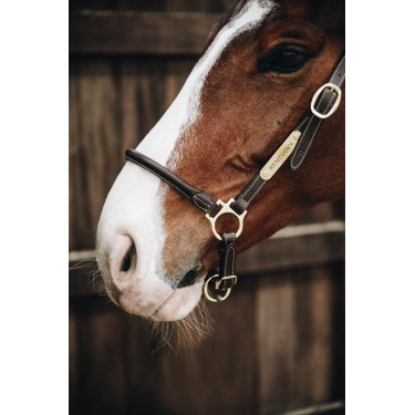 Capezzina da grooming in cuoio Kentucky Capezzina da grooming in cuoio Kentucky