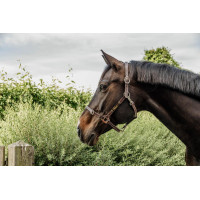 Capezza Flessibile Kentucky Marrone Capezza Flessibile Kentucky Marrone