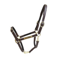 Capezza Flessibile Kentucky Marrone Capezza Flessibile Kentucky Marrone