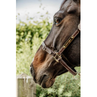 Capezza Flessibile Kentucky Marrone Capezza Flessibile Kentucky Marrone