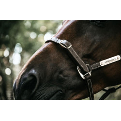 Capezza Flessibile Kentucky Marrone Capezza Flessibile Kentucky Marrone