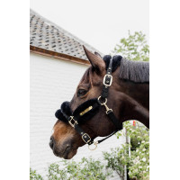 Capestro in nylon con montone Soft Kentucky Nero