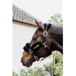 Capestro in nylon con montone Soft Kentucky Capestro in nylon con montone Soft Kentucky
