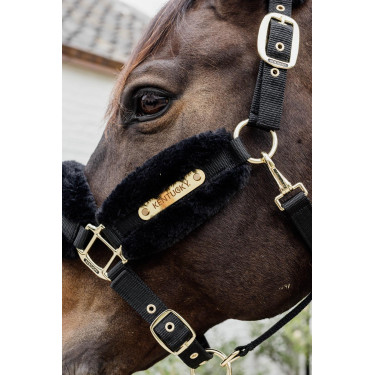 Capestro in nylon con montone Soft Kentucky Capestro in nylon con montone Soft Kentucky