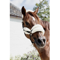 Capestro in nylon con montone Soft Kentucky Capestro in nylon con montone Soft Kentucky