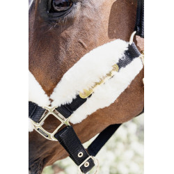Capestro in nylon con montone Soft Kentucky Capestro in nylon con montone Soft Kentucky