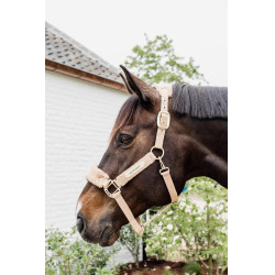 Capezzina Teddy Fleece Kentucky