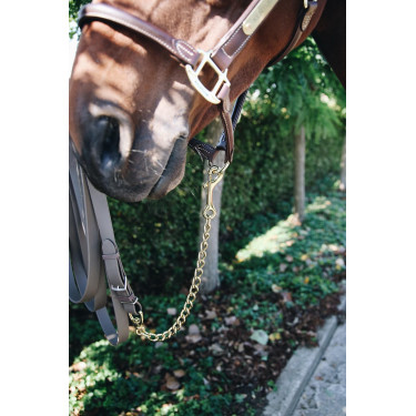 Catena per modello Kentucky Catena per modello Kentucky