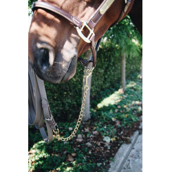 Catena per modello Kentucky