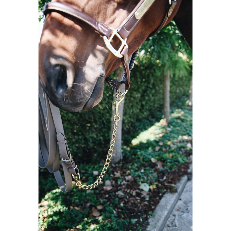 Catena per modello Kentucky