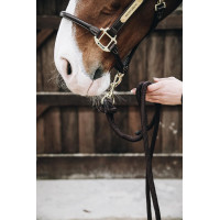 Longe Loop Basic Kentucky Marrone