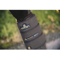 Stinchiere anteriori Air Tech Eventing Kentucky Marrone Stinchiere anteriori Air Tech Eventing Kentucky Marrone