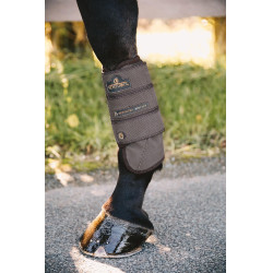 Stinchiere anteriori Air Tech Eventing Kentucky Marrone Stinchiere anteriori Air Tech Eventing Kentucky Marrone