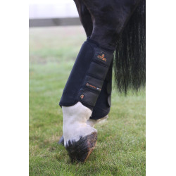 Stinchiere posteriori Air Tech Eventing Kentucky
