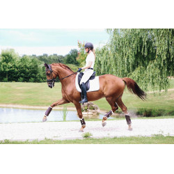 Stinchiere chiuse in cuoio anteriori Kentucky Marrone