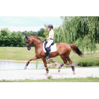 Stinchiere chiuse in cuoio posteriori Kentucky Marrone