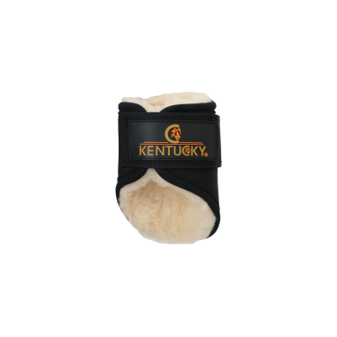 Paragambe posteriori corte Solimbra chiuse Kentucky Paragambe posteriori corte Solimbra chiuse Kentucky