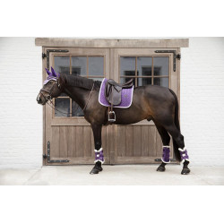 Stinchiere chiuse Velvet Contrast Kentucky Malva reale Viola