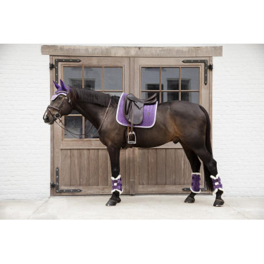 Stinchiere chiuse Velvet Contrast Kentucky Malva reale Viola