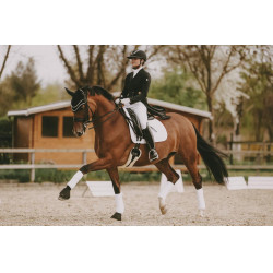 Cinghia corta in montone Kentucky Nero