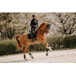 Cinghia corta in montone Kentucky Nero