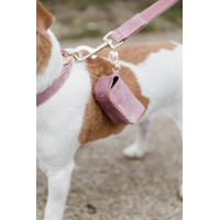 Borsetta per deiezioni Carré Velvet Kentucky Rosa antico