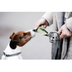 Borsa per deiezioni canine Kentucky Borsa per deiezioni canine Kentucky