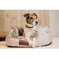 Collare per cane Corduroy Kentucky