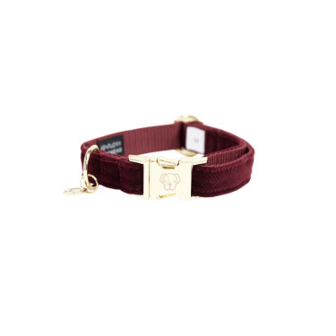 Collare per cane Corduroy Kentucky Collare per cane Corduroy Kentucky