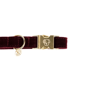 Collare per cane Corduroy Kentucky Collare per cane Corduroy Kentucky
