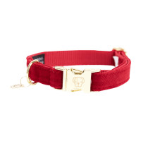 Collier pour chien Corduroy Kentucky Bordeaux Collier pour chien Corduroy Kentucky Bordeaux