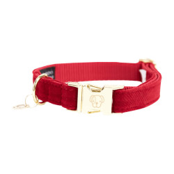 Collare per cane Corduroy Kentucky Rosso