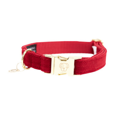 Collare per cane Corduroy Kentucky Rosso