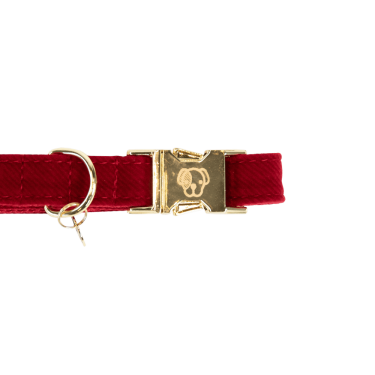 Collare per cane Corduroy Kentucky Rosso Collare per cane Corduroy Kentucky Rosso
