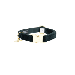 Collare per cane Corduroy Kentucky Verde abete