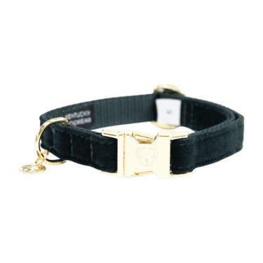 Collare per cane Corduroy Kentucky Verde abete Collare per cane Corduroy Kentucky Verde abete