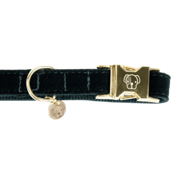 Collare per cane Corduroy Kentucky Verde abete Collare per cane Corduroy Kentucky Verde abete