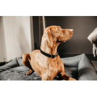 Collare per cane Corduroy Kentucky Nero