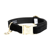 Collier pour chien Corduroy Kentucky Bordeaux